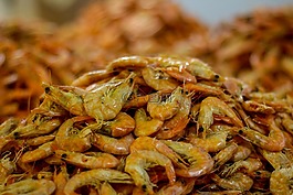 虾,mar,海滩