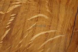 木,糧食,紋理
