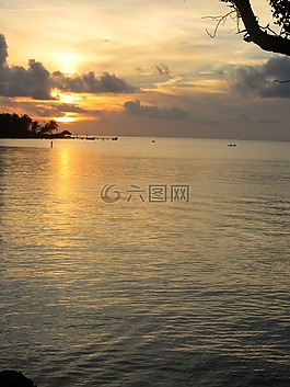 日落,海洋,紫色的云彩