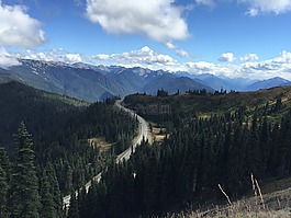 公路,山,樹