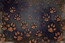 狗,爪子,打印