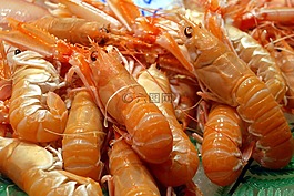 食品,大蝦,海鮮