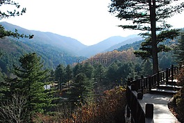 景觀,山,大自然