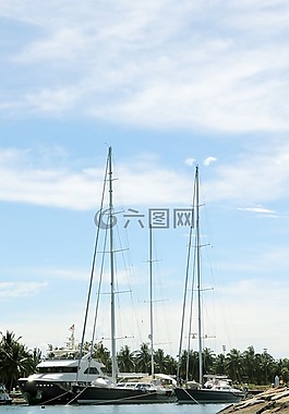 游艇,海港,船