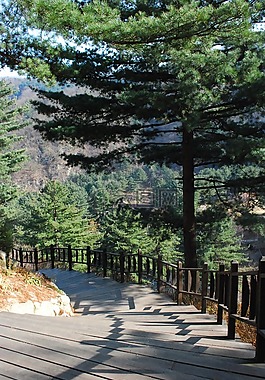 景觀,山,大自然