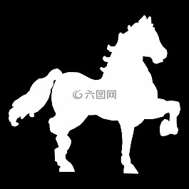 比賽,品種,騎手