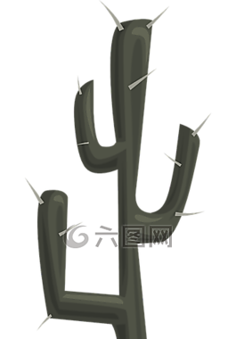 仙人掌,植被,植物