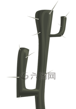 仙人掌,植物,植被