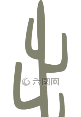 仙人掌,植物,沙漠