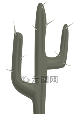 仙人掌,植被,植物