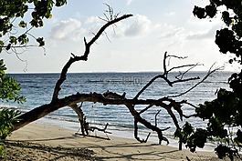 人體內(nèi)的水,性質(zhì),海