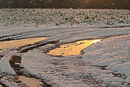 冬天,雪,日落