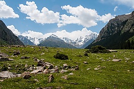 山,高峰,綠黨