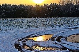 雪,冬天,日落