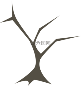 樹,分支機構(gòu),自然