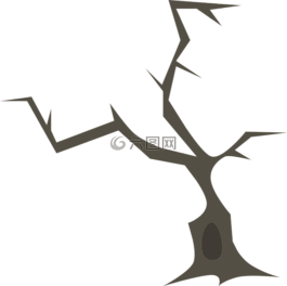 樹,分支機構(gòu),自然