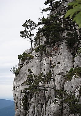 巖,山,景觀