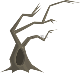 樹(shù),分支機(jī)構(gòu),自然