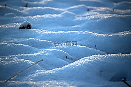 雪,冬天,冰