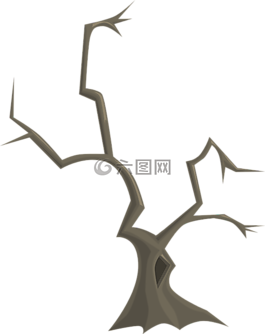 樹,分支機(jī)構(gòu),自然