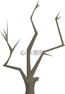 樹(shù),分支機(jī)構(gòu),自然