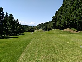 高爾夫,然,吉井