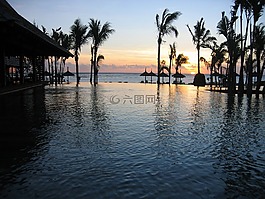 日落,池,海洋