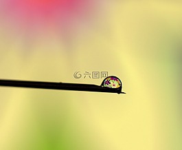 拖放,水,反射