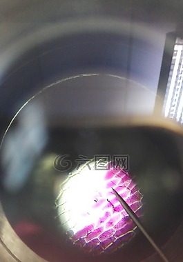 顯微鏡,細胞,檢查