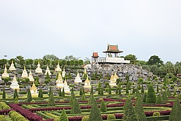 花園,性質(zhì),花