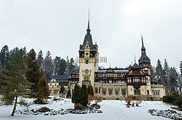佩雷斯城堡,冬季,树木