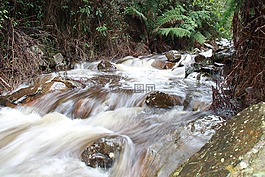 河,涌,運行