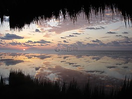 日出,海洋,水