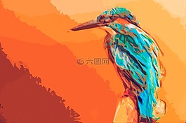 翠鳥,鳥,知更鳥