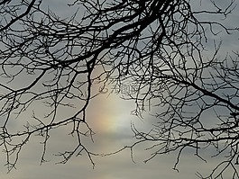 太阳,sundog,幻日