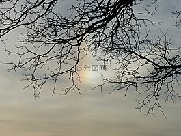 太阳,sundog,幻日