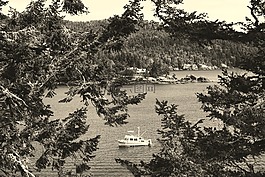 加拿大,船,湖
