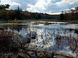 火山口湖,湖,比弗