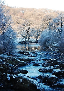 景观,雪,冰