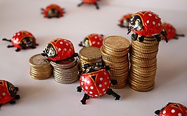歐元,硬幣,瓢蟲