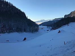 冬天,森林,山
