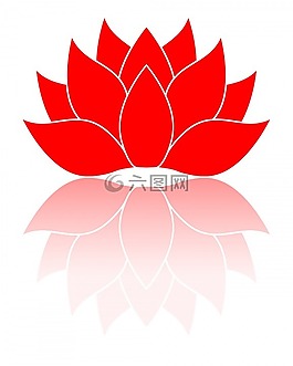 紅色,花,孤立