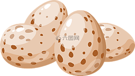 雞蛋,鳥,發(fā)現(xiàn)