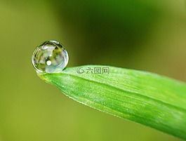 片,降,绿色
