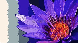百合,花卉,自來水廠