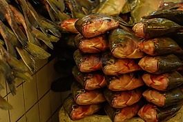 魚,捕魚,海洋