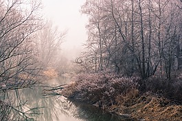 河,霧,水