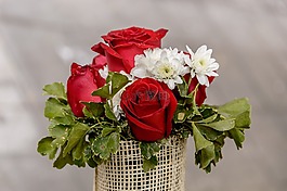 花,玫瑰,美麗
