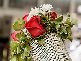 花,玫瑰,美麗