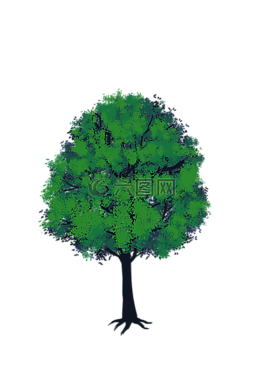 樹,綠色,動漫